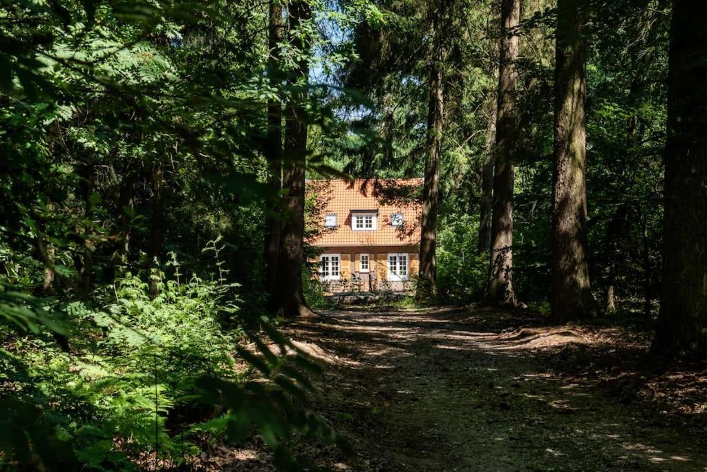 Fantastisch Familiehuis Met Grote Tuin I Bosrijk ルンテレン エクステリア 写真